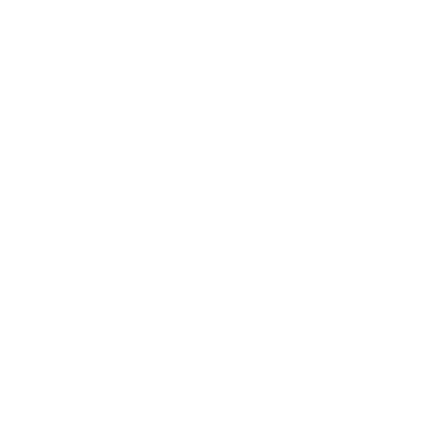 global-emc-emp-icon