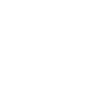 global-emc-nemp-icon